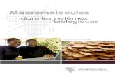 Macromolécules - African Virtual Universityavu.org/thierry-modules/Chemistry (12:12...a) des esters de glycérol et d’acides gras 3. Les protéines sont des composés faits de: