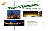 N 34 - D cembre 2012 - Mairie de Salaunesmairie-salaunes.fr/files/Bulletin/n34-12-12.pdf · 2013. 4. 22. · d’un four pour la cantine scolaire pour un montant de 2 810,60 €.