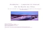 Ardèche – Laponie à cheval De la Burle au Sisu...Présentation de l'équipe Donatello – Le cheval de selle Donatello est un Merens né en 2013. Il fait preuve d’une capacité