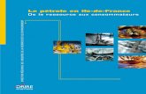 Le pétrole en Ile-de-Francepratclif.com/shalegas/20121118_files/petrole-ile-de... · 2012. 11. 18. · culier, les bases naphta et kérosène sont expédiées par le PLIF vers Gargenville