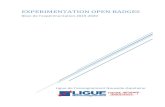 La Ligue Nouvelle-Aquitaine - Expérimentation open badgesliguenouvelleaquitaine.org/wp-content/uploads/2020/12/... · 2020. 12. 7. · territoires pilotes : la région Centre-Val