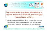 Comportement mécanique, dégradation et rupture des sols … · 2013. 6. 20. · Digues maritimes et fluviales de protection contre les submersions, Aix-en-Provence, 12-14 juin 2013