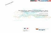 Schémas départementaux des carrières : situation en 2012infoterre.brgm.fr/rapports/RP-62006-FR.pdf · 2013. 6. 10. · un schéma départemental des carrières (SdC) définissant