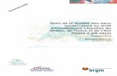Suivi de la qualité des eaux souterraines au droit d ...infoterre.brgm.fr/rapports/RP-55919-FR.pdfSuivi de la qualité des eaux souterraines au droit d’IC et SP du Rhône, de l'Isère