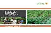 Guide de culture du manioc - CABI.org · 2016. 6. 29. · (c’est-à-dire qu’une culture de couverture est plantée dans le champ afin d’améliorer le processus de restauration