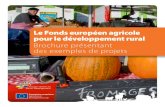 Le Fonds européen agricole pour le développement rural ......Le FEADER est doté d’un budget de €96,4 millions mis à disposition pour le cofinancement de projets de développement