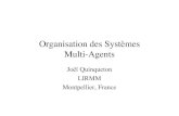 Organisation des Systèmes Multi-Agents - LIRMMjq/Cours/3cycle/organisationSMA.pdf · Caractéristiques d’un SMA •Un SMA peut-être : –ouvert : les agents y entrent et en sortent