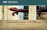 Répondre à la crise pénitentiaire mondiale - Stratégie 2015-2017 - … · 2016. 10. 3. · of Prison Health (2013) Manuel sur les femmes et l’emprisonnement (deuxième édition,