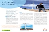4P-Fiche Eolienne:4P-Energie Eolienne - Académie de Poitiersww2.ac-poitiers.fr/electrotechnique/IMG/pdf/Document... · 2011. 5. 19. · États-Unis et sur toute la chaîne de compé-tences: