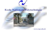 Ecole Nationale Polytechniqueuniv.ency-education.com/uploads/1/3/1/0/13102001/... · 2018. 4. 7. · raffinage, chimie, plastique, pétrochimie, textile, minier, industries mécaniques,