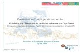 Présentation d’un projet de recherche - BRGM · 2020. 11. 4. · Présentation d’un projet de recherche : Prévision de l’évolution de la flèche sableuse du Cap Ferret Compréhension