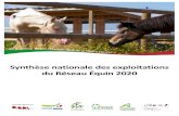 Synthèse nationale des exploitations du Réseau É uin 2020 · 2020. 12. 4. · Synthèse nationale des exploitations du Réseau Equin, repères technico-économiques 2018 – Page