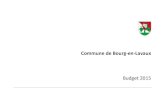 Commune de Bourg-en-Lavaux€¦ · Le Conseil d’Etat a adopté à la mi-septembre 2014 le projet de budget de l’Etat de Vaud pour 2015 en arrêtant le montant de la facture sociale