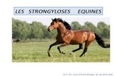 Catalogue des cours en ligne UFMC1 - LES STRONGYLOSES … · 2020. 4. 22. · LES STRONGYLOSES EQUINES Dr A. TITI , cours d’helminthologie A4, DV, 2019-2020 Strongyloses gastriques