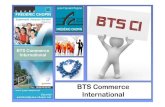 BTS Commerce InternationalInformatique commerciale – C2I 3h - Communication et management interculturel 2h 6h Prospection et suivi de clientèle 4h 2h Gestion des opérations import-export