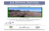 La Pointe Carronbathurstsustainabledevelopment.com/news/Carron Booklet...La majorité du territoire de la Pointe Carron est classée dans la zone A selon la Politique de protection