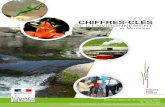 2009 CHIFFRES-CLÉS DE L’ENVIRONNEMENT de Martinique...E n Martinique, après une première publication sur les années 1997 et 1998, la publication des « Chiffres Clés de l’Environnement
