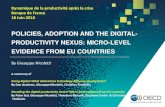 POLICIES, ADOPTION AND THE DIGITAL - PRODUCTIVITY · PDF file 2018. 6. 22. · POLICIES, ADOPTION AND THE DIGITAL - PRODUCTIVITY NEXUS: MICROLEVEL - EVIDENCE FROM EU COUNTRIES . A