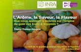 L’Arôme, la Saveur, la Flaveur · 2021. 3. 19. · NF ISO 5492 (2009) Dégustez les fruits et les légumes aspect, texture, ... (2010) ; Une représentation cérébrale multimodale
