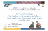 10. Les services nationaux du CNFMcnfmold.cime.grenoble-inp.fr/VersionFrancaise/animations/JP/10...Verigy V93000 Compact Test Head (16 digital, analog or RF slots + 2 DPS slots) 1
