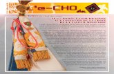e-CHO 16 spe - Amicale 17 RGP · 2012. 5. 1. · sant plusieurs milliers de mines et munitions tout en réalisant d’importants travaux d’infrastructure et d’organisation du