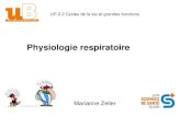 Physiologie respiratoire - IFSI DIJONifsidijon.info/v2/wp-content/uploads/2020/10/Physio... · 2020. 10. 26. · Physiologie respiratoire Marianne Zeller UE 2.2 Cycles de la vie et