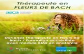 Thérapeute en FLEURS DE BACH - Human & Health Center · 2021. 4. 25. · fleurs de Bach, différencier et d’associer les élixirs floraux, conduire un entretien personnalisé en