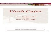 Flash Cujasbiu-cujas.univ-paris1.fr/sites/default/files/documents/... · 2019. 4. 17. · 1000 QCM Culture générale : histoire, géographie, économie et société, institutions,