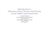Introduction to Fibonacci Price Clusters and Timing on the ...store.trading-software-collection.com/Free Download...Fibonacci Price Clusters and Timing on the CBOT mini-Sized Dow Carolyn