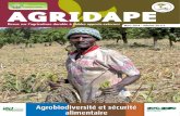 Agrobiodiversité et sécurité - IED afrique · 2016. 12. 13. · Agriculture durable à faibles apports externes VOL. 30.1 - Mars 2014 AGRIDAPE est l’édition régionale Afrique