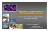 Diagnóstico Inmunofenotípico de Gammapatías Monoclonalesdbcitometria.royalwebhosting.net/images/old/docs/curso/...Gammapatías Monoclonales Linf-T maduro CD2 CD3 CD4/CD8 CD5 CD7