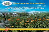 Commune de Grandvillierscdn1_3.reseaudesvilles.fr/cities/160/documents/rond2mpn0... · 2019. 10. 29. · Population totale au 1er janvier 2017 : 3098 habitants avec les doubles comptes.
