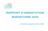 BUDGETAIRE 2020 - Le Puy-en-Velay Ville... · 2020. 7. 23. · Ville du Puy-en-Velay Débat d'orientation budgétaire 2020 _____ 5/37 La situation financière de la Ville Le présent