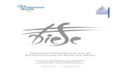 Dispositif Informationnel sur les Environnements de Santé des …asp.lecrips-idf.net/cirdd/telechargement/Rapport_ DIESE... · 2016. 9. 6. · e projet DIESE (Dispositif Informationnel