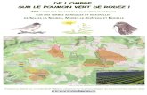 DE L’OMBRE SUR LE POUMON VERT DE RODEZ€¦ · Le Causse Comtal, poumon vert de Rodez, est l'un des réservoirs majeurs de biodiversité et de patrimoine de la région et de France,