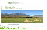 Plan de gestion 201 4-2020 · 2015. 2. 12. · Plan de Gestion de Corniolo, 2014 – CEN Savoie - p 7 - 1.2.2.1. Natura 2000 Les Corniolo sont inscrits dans le site Natura 2000 du