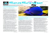 Sesascope Vol. 45 - 210 x 297 (Page 2)didier.bargiacchi.free.fr/seascope/seascope_vol45.pdf · 2011. 2. 15. · où le filtre à ruissellement a été introduit. Le filtre sous sable