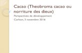 Cacao (Theobroma cacao ou norriture des dieux)...Cacao en fèves et brisures de fèves, bruts ou torréfiés 23 538 1% Chocolat et autres préparations alimentaires contenant du cacao