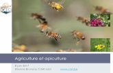 Agriculture et apiculture · Des championnes de l’auto-régulation Peuvent s’adapter aux modifications de l’environnement et du climat (saisons) Permet un développement de