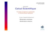 Spécialité Calcul Scientifique - univ-tln.frfreddy.univ-tln.fr/enseignement/pub2005.pdf · • Mécanique du solide (Marseille) • Mécanique des fluides (Marseille) • Sciences