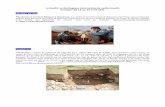 Angleterreddata.over-blog.com/xxxyyy/4/15/63/09/actualite... · Des fouilles archéologiques sont actuellement entreprises à l'Abbaye de Brogne par une équipe de professionnels