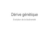 Dérive génétique - Académie de Créteil · 2019. 9. 4. · Extrait des programmes : L’évolution de la biodiversité au cours du temps s’explique par des forces évolutives