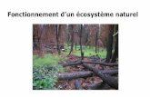 Fonctionnement d’un écosystème naturel...interaction entre eux : la biocénose et avec le milieu physico-chimique environnant : le biotope 2 réseaux trophiques Utilisation d’énergie