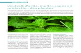 L’extrait d’ortie, multi-usages en protection des plantessubstances.itab.asso.fr/wp-content/uploads/2018/10/AA136...nyque tisserand ( Tetranychus urticae ) ont été étudiés