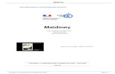 Maldineyeconomiegestion-vp.ac-creteil.fr/.../Maldiney_a434.pdf · 2020. 6. 14. · Maldiney Cette présentation a été donnée dans le cadre du colloque intitulé À l'épreuve d'exister