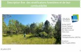 Description fine des stratifications forestières et de leur …dias.ensg.eu/Terrain/Data/2019/Combustibilite/Morpholog... · 2019. 8. 8. · Samuel Mermet Elie-Alban Lescout Alexis