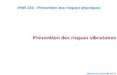Prévention des risques vibratoiresww2.cnam.fr/physique//PHR103/Risques_Vibratoires_PHR103... · 2011. 4. 6. · Vibrations : définitions selon le décret 2005-746 9Vibration transmise