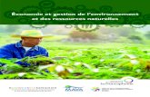 Économie et gestion de l'environnement et des ressources ... · Institut de la Francophonie pour le développement durable et Université Senghor, 2019, Économie et gestion de l’environnement