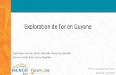 Exploration de l’or en Guyane