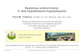 Systèmes endocriniens: 2. Axe hypothalamo-hypophysaire